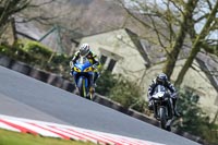 Oulton-Park-21st-March-2020;PJ-Motorsport-Photography-2020;anglesey;brands-hatch;cadwell-park;croft;donington-park;enduro-digital-images;event-digital-images;eventdigitalimages;mallory;no-limits;oulton-park;peter-wileman-photography;racing-digital-images;silverstone;snetterton;trackday-digital-images;trackday-photos;vmcc-banbury-run;welsh-2-day-enduro